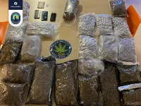 cannabisplantage Anderlecht