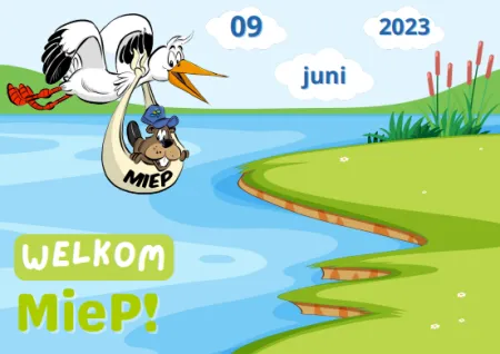 geboortekaartje voorkant
