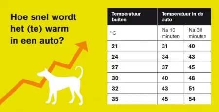 Hond in auto bij warm weer