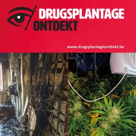 Drugsplantage ontdekt