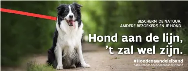 Hond aan de lijn