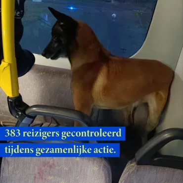 Drugshond op bus