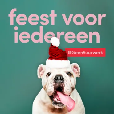 feest voor iedereen
