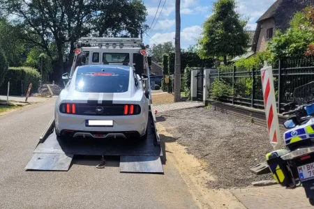 Mustang