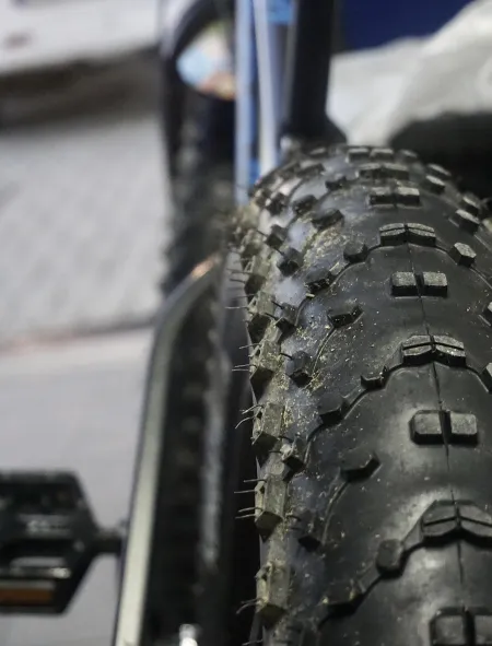 fatbike band