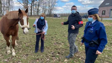 dierenwelzijnsadvies