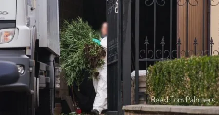 huiszoeking Merem