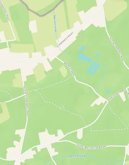 Bos gijmel