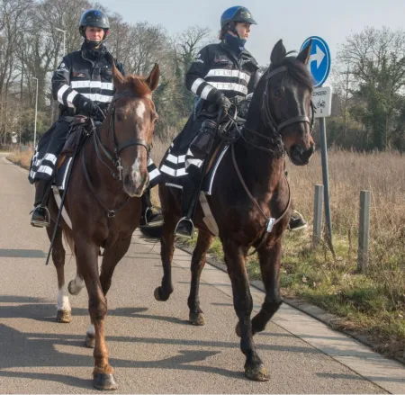 cavalerie