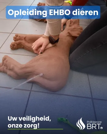EHBO bij dieren