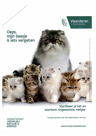 CAMPAGNE KATTENSTERILISATIE