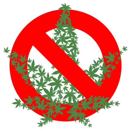 Cannabis