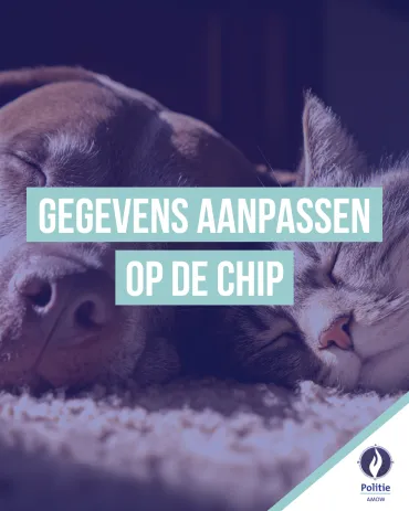 hond en kat die zij aan zij liggen te slapen