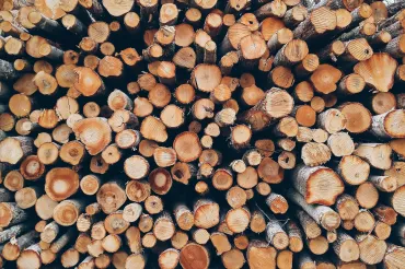 hout