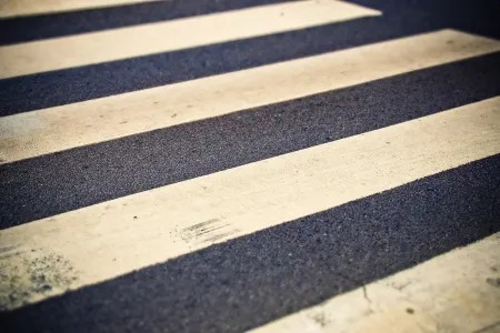 Zebrapad