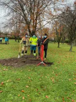 aanplanting van boom