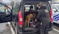 Controleactie 22/02/2025