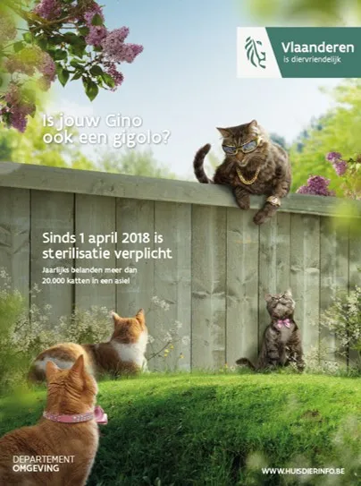 campagne sterilisatie katten