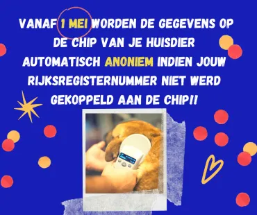 Huisdier
