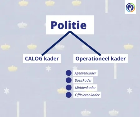 Informatief: kaders en graden van de politie, wat zijn dat? | Lokale ...