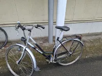 melding 5285/2026