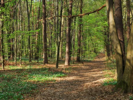 Code oranje: natuurbrand