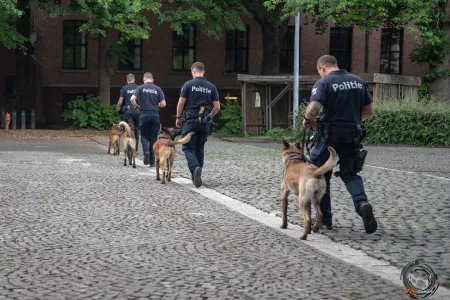 Hondenbrigade Aalst