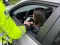 Verkeerscontrole BOB zomercampagne 