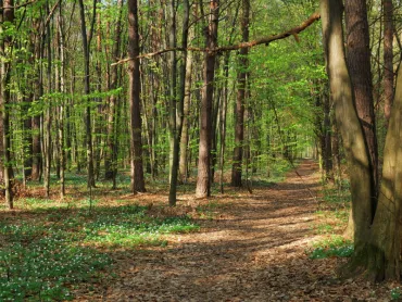 Code oranje: natuurbrand