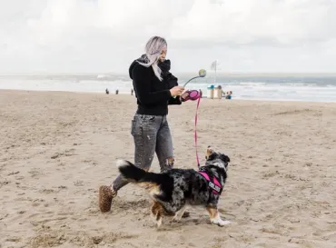 hond op strand