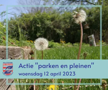Parken en pleinen