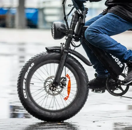 Fatbike