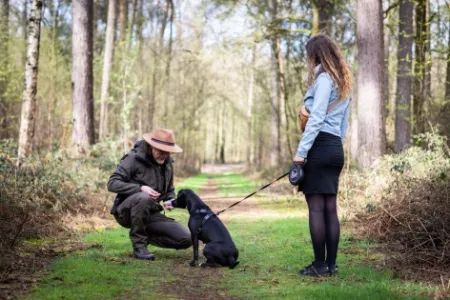 hond aan de lijn