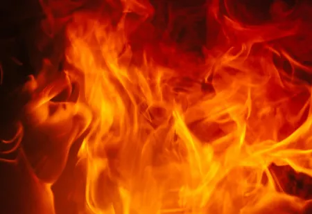 brand
