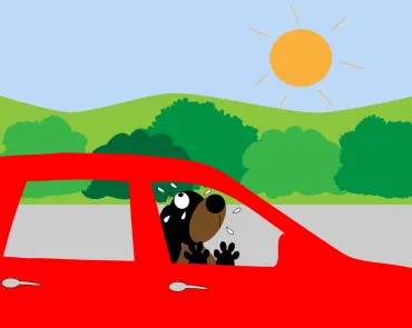 hond in wagen 