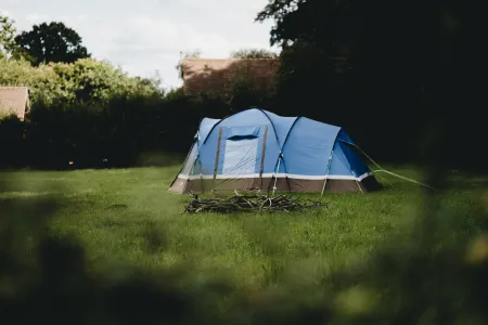 Wildkamperen