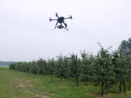 Drone