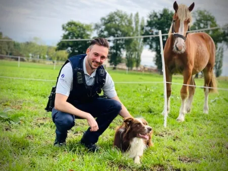 Diereninspecteur Serge1