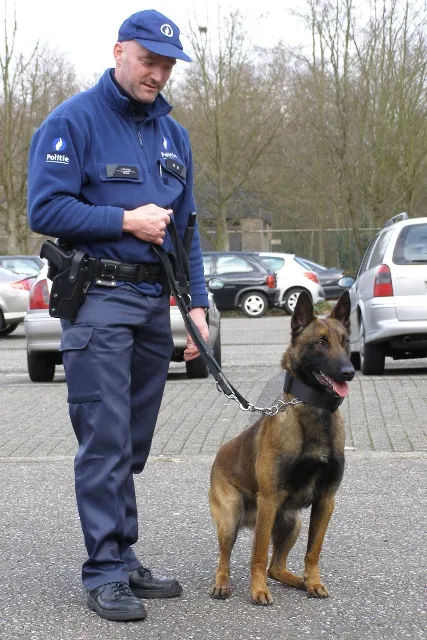 Foto van hondengeleider met Itan