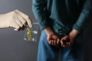Carma cannabis handboeien