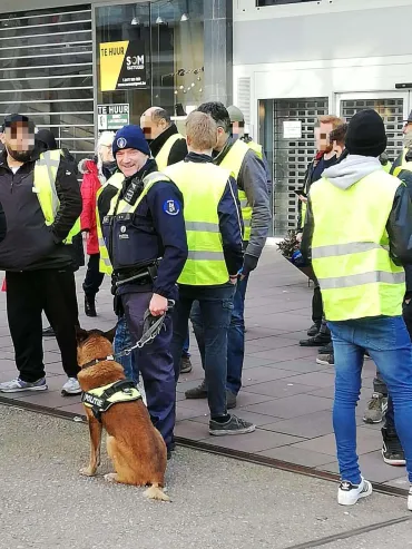 Foto van hondengeleider met Itan