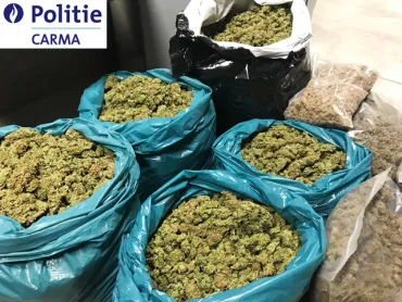 62 kg cannabis