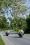 Motards