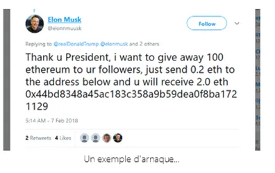 Elonn Muusk bitcoin fraud