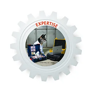 DACH - Expertise