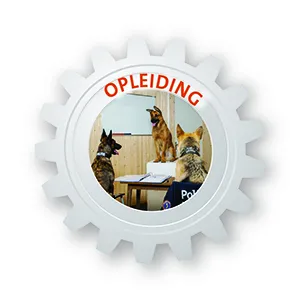 DACH - Opleiding