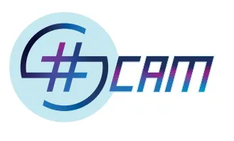 Logo Scam