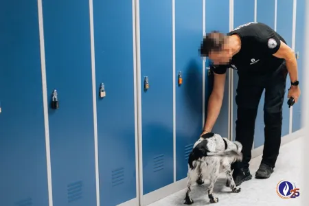 Internationaal drugsnetwerk ontmanteld 
