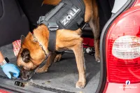 Internationale samenwerking – Grootschalige politie- en douaneoperatie in het Duits-Nederlands-Belgisch grensgebied 