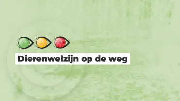 Kijk Uit: Dierenwelzijn op de weg